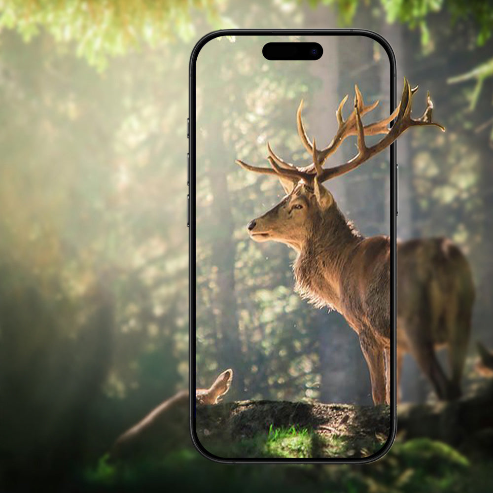 Apple iPhone 17 Air Zore Mikro Kamera Lens Koruyucu Siyah