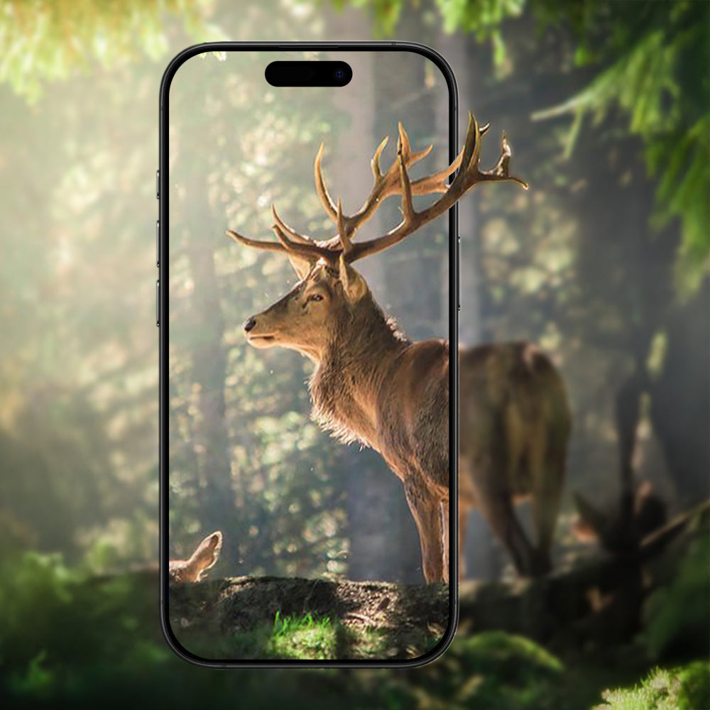 Apple iPhone 17 Zore Mikro Kamera Lens Koruyucu Gümüş