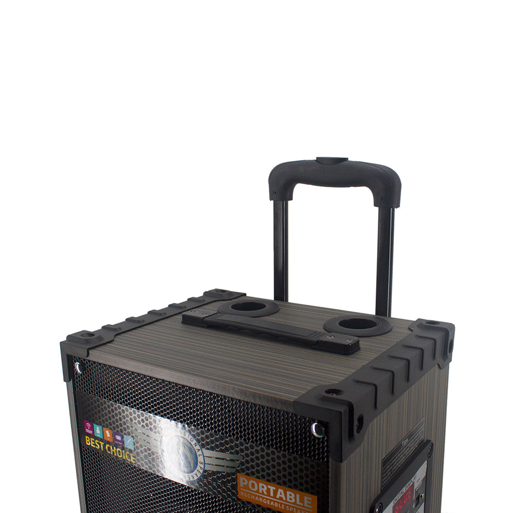 Zore LT-912 Dijital LED Göstergeli FM Radyolu Mikrofonlu Gitar Girişli TWS 12 inç Stereo Bass Kablosuz Karaoke Hoparlör Siyah